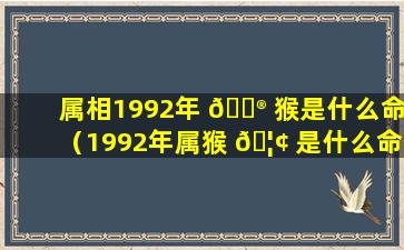 属相1992年 💮 猴是什么命（1992年属猴 🦢 是什么命卜易居）